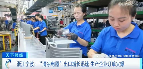 爆單 這些產(chǎn)品國內(nèi)外賣爆了 有企業(yè)年出口額超1億美元